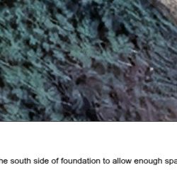 SL to Wuskiwi / Bellsite locations