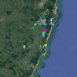 IPOJUCA