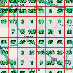 Dubai 2024/2025 App Opens