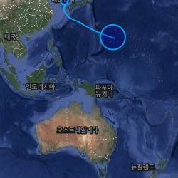 수학 수행 매미 