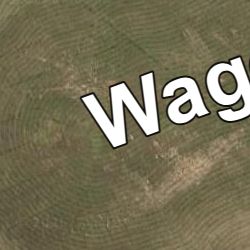 WaggaL525m