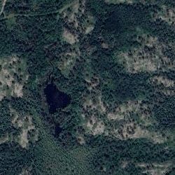 Olympic to Bereton Beach