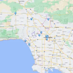 LA in Anarchy