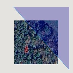 Woodson K Conservation Area Study Sites