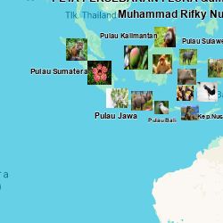 Peta Persebaran Flora dan Fauna di Indonesia